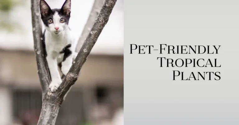 Pet-Friendly Tropical Plants