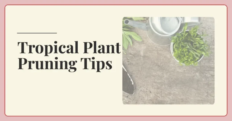 Pruning Tropical Plants