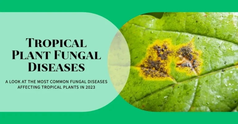 Tropical Plant Fungal Diseases in 2023