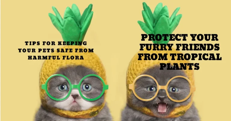 tropical-plant-pet-safety