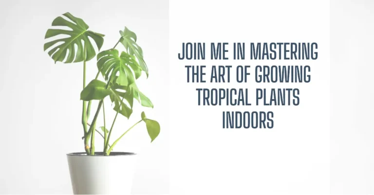 Growing Tropical Plants Indoors